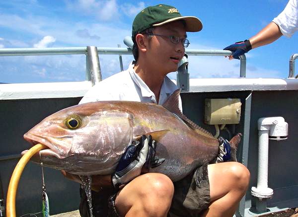 Amberjack...